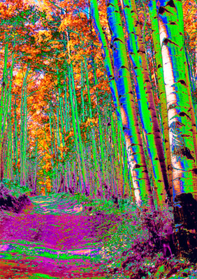 Psychedelic photography