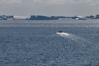 Lamaire Channel Afternoon Harbor Cruise, Antarctica