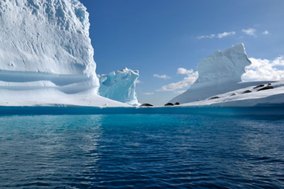 Lamaire Channel Afternoon Harbor Cruise, Antarctica