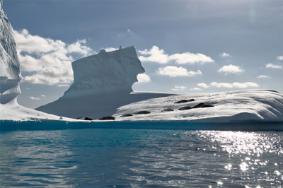 Lamaire Channel Afternoon Harbor Cruise, Antarctica