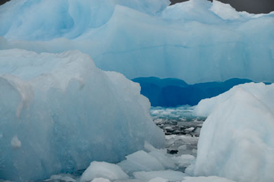 Prospect Park and Fish Island, Zodiac Tour , Antarctica