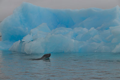 Sailing to Prospect Point , Antarctica