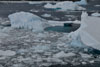 Sailing to Prospect Point and Landing, Antarctica