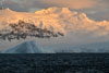 Sunrise, Gerlache Strait, Antarctica