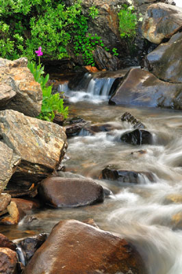 Upper Lost Man, Cascading Water, Colorado