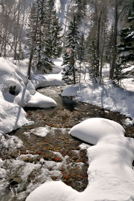 Castle Creek Road, Colorado