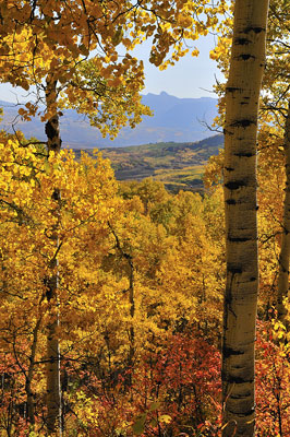 McClure Pass and Highway, Colorado