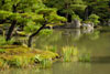 Kyoto Golden Pavilion Reflecting Pond, Japan