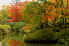 Nikko Japanese garden, Japan